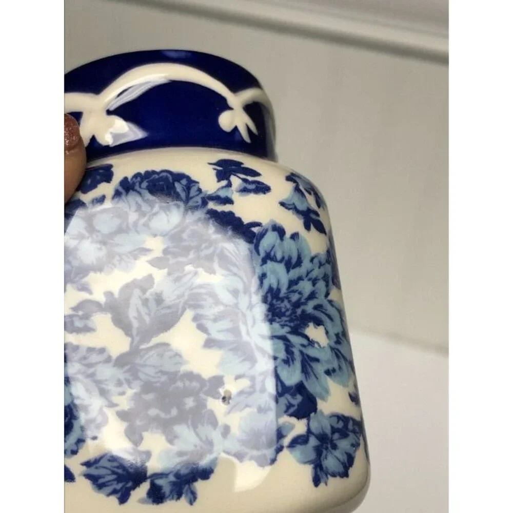 Pioneer Woman Frontier Rose Salt And Pepper Set Shakers Blue Red White New